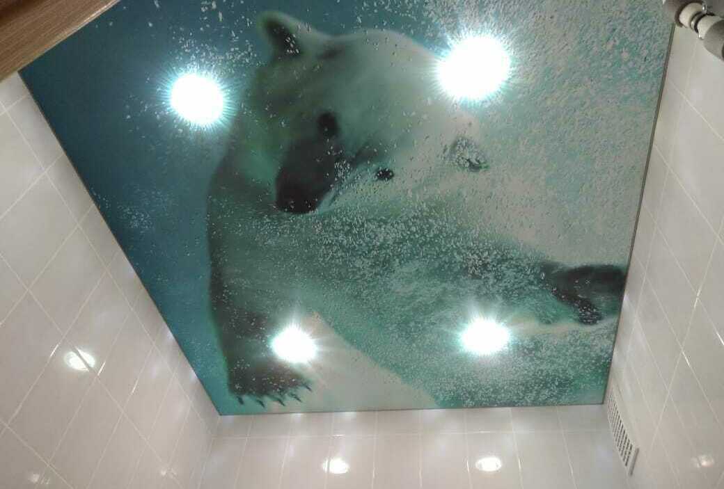 натяжной потолок с фотопечатью в ванную